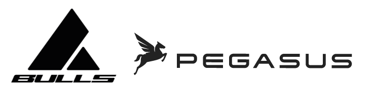 BULLS / PEGASUS